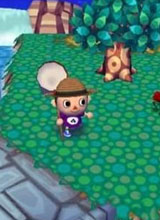 ֮ɭڴӪء