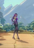 Paladins